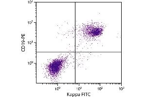 BALB/c mouse splenocytes were stained with Rat Anti-Mouse Kappa-FITC. (Rat anti-Mouse Immunoglobulin kappa Chain Complex (Igk) Antibody (FITC))