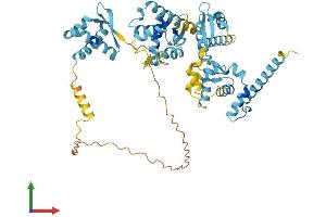 AlphaFold protein structure predicition of Human Recombinant MAGEE2 Protein, UniprotID Q8TD90 (MAGEE2 Protein (AA 1-523) (His tag))