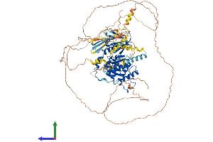 AlphaFold protein structure predicition of Human Recombinant EPB41 Protein, UniprotID P11171 (EPB41 Protein (AA 1-864) (His tag))