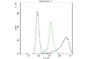 Flow Cytometry analysis of Hela cells using anti-PPP1R12A antibody (ABIN3043902). (PPP1R12A antibody  (N-Term))