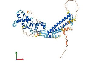 Protein Structure (PS) image for CHMP Family, Member 7 (CHMP7) (AA 1-453) protein (His tag) (ABIN7553432)
