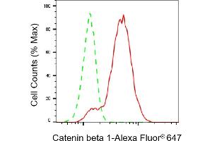 Flow cytometric analysis of Catenin beta 1 expression in C2C12 cells using Catenin beta 1 antibody (ABIN7797926), 1:2,000). (CTNNB1 antibody)