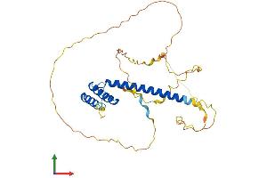 AlphaFold protein structure predicition of Mouse Recombinant Atoh8 Protein, UniprotID Q99NA2
