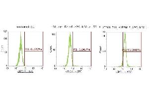 Flow Cytometry (FACS) image for anti-Protein Phosphatase 1F (PP2C Domain Containing) (PPM1F) (AA 1-454) antibody (APC) (ABIN5568331) (PPM1F antibody  (AA 1-454) (APC))