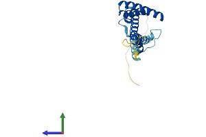 Protein Structure (PS) image for Translocase of Inner Mitochondrial Membrane 22 Homolog (TIMM22) (AA 1-194) protein (His tag) (ABIN7560518)