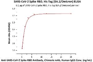 Immobilized SARS-CoV-2 Spike RBD, His Tag (BA.