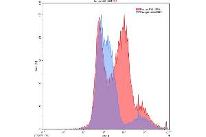 Detection of IL22 in 293F line transfected with target gene using Polyclonal Antibody to Interleukin 22 (IL22) (IL-22 antibody  (AA 34-179))
