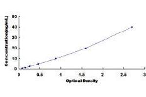 Complement Component C4b (C4b) ELISA Kit