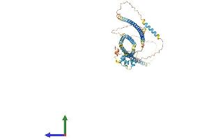 Protein Structure (PS) image for EF-hand calcium binding domain 14 (EFCAB14) (AA 1-495) protein (His tag) (ABIN7547273)