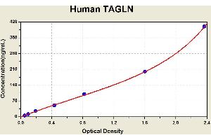 Diagramm of the ELISA kit to detect Human TAGLNwith the optical density on the x-axis and the concentration on the y-axis. (Transgelin ELISA Kit)