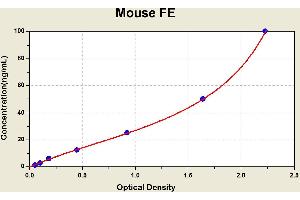 Diagramm of the ELISA kit to detect Mouse FEwith the optical density on the x-axis and the concentration on the y-axis.