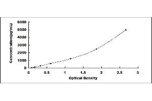 Typical standard curve (PFN1 ELISA Kit)