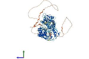 Protein Structure (PS) image for WW Domain Containing E3 Ubiquitin Protein Ligase 1 (WWP1) (AA 1-922) protein (His tag) (ABIN7556022)