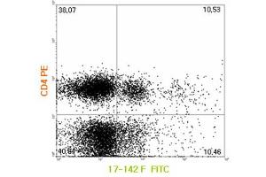 FACS: Human PBMCs were cultured with recombinant IL-1β, TGF-β, and IL-6 for 4 days. (Interleukin 17a antibody  (FITC))