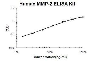 Human MMP-2 PicoKine ELISA Kit standard curve (MMP2 ELISA Kit)