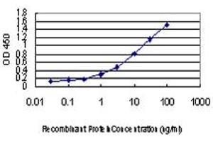 Detection limit for recombinant GST tagged GLTSCR2 is approximately 0. (GLTSCR2 antibody  (AA 402-478))