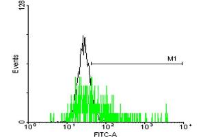 FACS analysis of negative control 293 cells (Black) and MRGPRX2 expressing 293 cells (Green) using MRGPRX2 purified MaxPab mouse polyclonal antibody. (MRGPRX2 antibody  (AA 1-330))