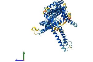 AlphaFold protein structure predicition of Human Recombinant SLC44A4 Protein, UniprotID Q53GD3 (SLC44A4 Protein (AA 1-710) (His tag))