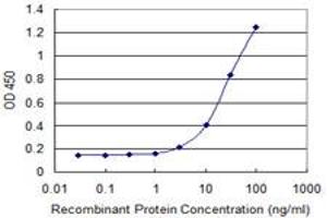 Detection limit for recombinant GST tagged DMP1 is 1 ng/ml as a capture antibody. (DMP1 antibody  (AA 221-330))