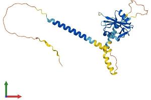 AlphaFold protein structure predicition of Mouse Recombinant Klra7 Protein, UniprotID Q60654 (Klra7 Protein (AA 1-280) (His tag))
