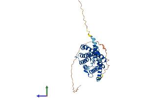 AlphaFold protein structure predicition of Human Recombinant AQP7P3 Protein, UniprotID A6NL99 (AQP7P3 Protein (AA 1-342) (His tag))