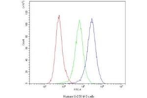 Flow Cytometry (FACS) image for anti-Dynamin 1 (DNM1) antibody (ABIN5647109)