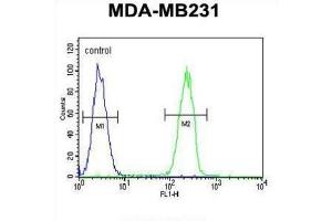 Flow Cytometry (FACS) image for anti-Caspase 5, Apoptosis-Related Cysteine Peptidase (CASP5) antibody (ABIN2995932) (CASP5 antibody)