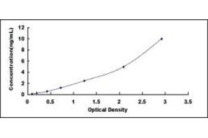 Typical standard curve (XPC ELISA Kit)