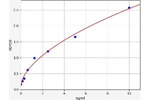 CTAG1A ELISA Kit
