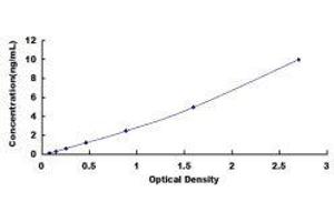 ELISA image for Lysyl Oxidase-Like 2 (LOXL2) ELISA Kit (ABIN435425) (LOXL2 ELISA Kit)