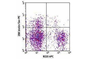 Flow Cytometry (FACS) image for anti-Mast/stem Cell Growth Factor Receptor (KIT) antibody (Biotin) (ABIN2660910) (KIT antibody  (Biotin))