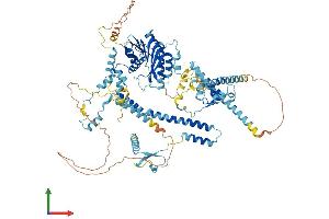 AlphaFold protein structure predicition of Human Recombinant FTSJ3 Protein, UniprotID Q8IY81