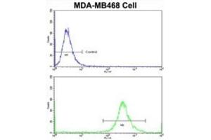 Flow Cytometry (FACS) image for anti-Galactose-1-Phosphate Uridylyltransferase (GALT) antibody (ABIN3002853) (GALT antibody)