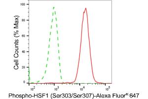 Flow cytometric analysis of Phospho-HSF1 (Ser303/Ser307) expression in HepG2 cells using Phospho-HSF1 (Ser303/Ser307) antibody (ABIN7798864), 1:2,000).