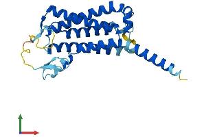 Protein Structure (PS) image for Dolichyl Pyrophosphate Phosphatase 1 (DOLPP1) (AA 1-238) protein (His tag) (ABIN7561707)