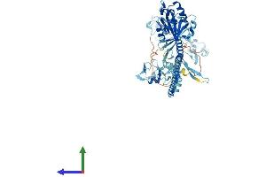 AlphaFold protein structure predicition of Human Recombinant TRIM23 Protein, UniprotID P36406