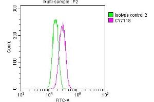 Overlay histogram showing Hela cells stained with ABIN7127811 (red line) at 1:50. (Recombinant SKP2 antibody)