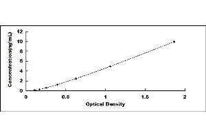 Typical standard curve (MAP3K7 ELISA Kit)