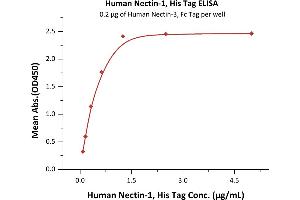 Immobilized Human Nectin-3, Fc Tag (ABIN4949138,ABIN4949139) at 2 μg/mL (100 μL/well) can bind Human Nectin-1, His Tag (ABIN2181680,ABIN2181679) with a linear range of 0.