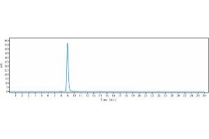 anti-Chemokine (C-X-C Motif) Ligand 10 (CXCL10) antibody