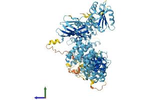 AlphaFold protein structure predicition of Mouse Recombinant Ap5b1 Protein, UniprotID Q3TAP4