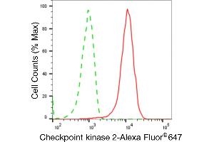 Flow cytometric analysis of Checkpoint kinase 2 expression in HepG2 cells using Checkpoint kinase 2 antibody (ABIN7798038), 1:2,000). (Recombinant CHEK2 antibody)