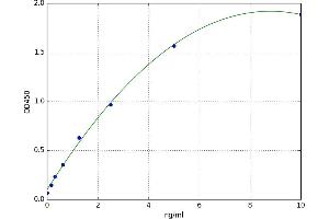 Matrix Metallopeptidase 16 (Membrane-inserted) (MMP16) ELISA Kit