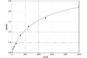 Interferon, alpha 7 (IFNa7) ELISA Kit