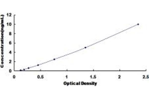 EZH1 ELISA Kit