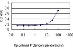 ELISA image for anti-Checkpoint Kinase 2 (CHEK2) (AA 1-543) antibody (ABIN564867)