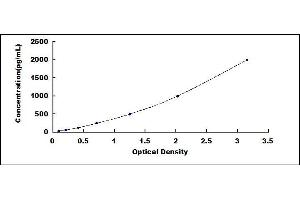 Typical standard curve (HFE2 ELISA Kit)