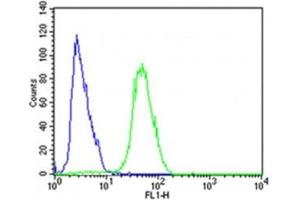 Flow cytometric analysis of SH-SY5Y cells using CDK5 antibody (green) compared to an isotype control of rabbit IgG (blue) (CDK5 antibody  (AA 225-260))