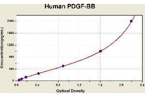 PDGF-BB Homodimer ELISA Kit