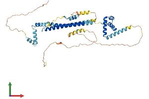 Protein Structure (PS) image for Pre-B-Cell Leukemia Homeobox Protein 1 (PBX1) (AA 1-430) protein (His tag) (ABIN7554914)